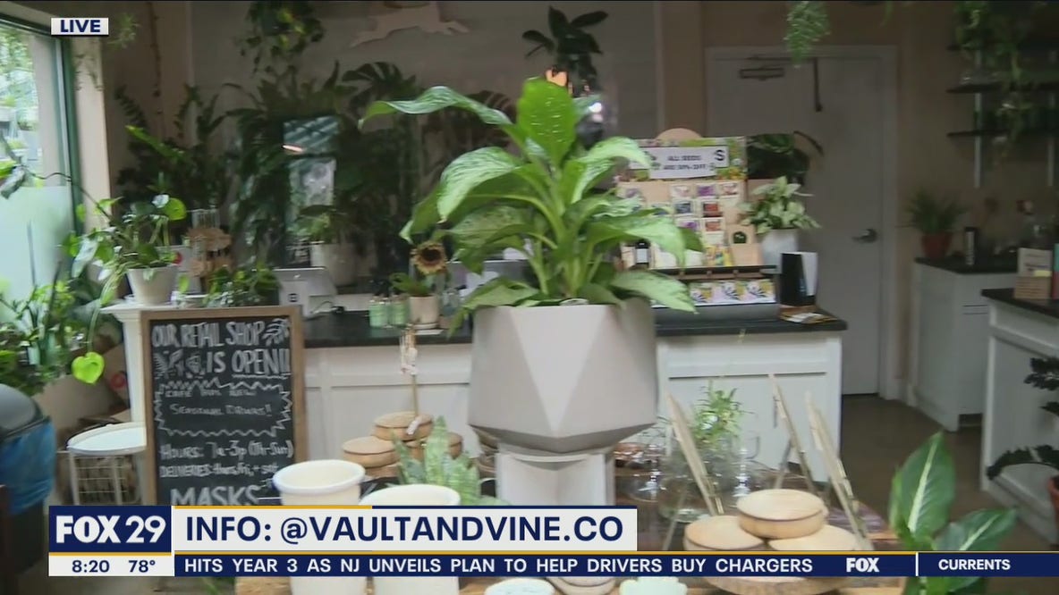 Buying Black: Vault and Vine in East Falls